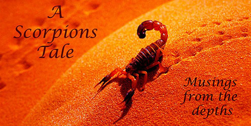 A Scorpions Tale | Musings from the Depths